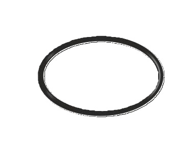 Vagnerpool Těsnění o-kroužek připojovacího šroubení uv (2ks) E800941Vagnerpool