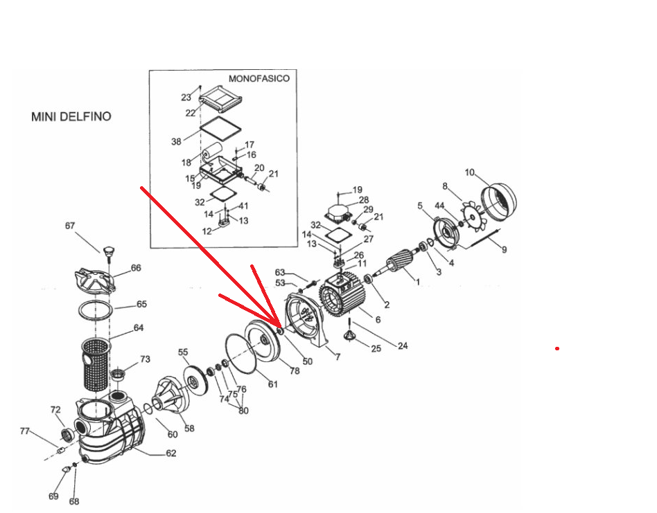 Vagnerpool Clonka proti vodě čerpadla Preva