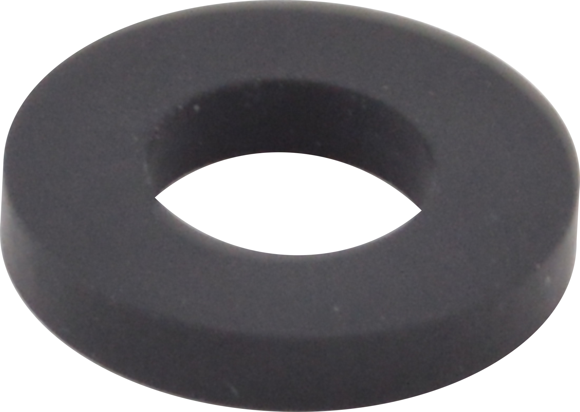 Pentair Pool Products Těsnění vstřiku - vstup hadičky do potrubí chlorátoru Rainbow Pentair 300Pentair Pool Products